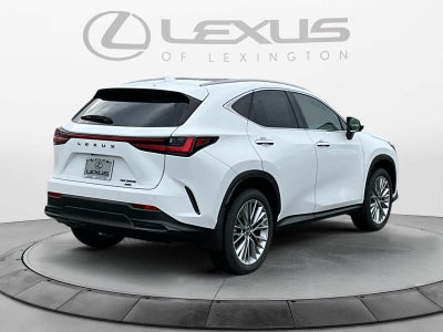 2026 Lexus NX 350h Luxury