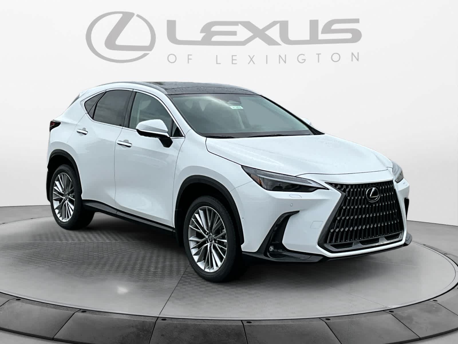 2026 Lexus NX 350h Luxury