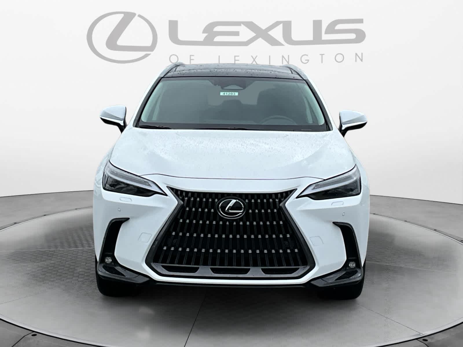 2026 Lexus NX 350h Luxury