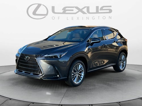 2026 Lexus NX 350h Luxury