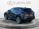 2026 Lexus NX 350h Luxury