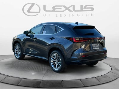 2026 Lexus NX 350h Luxury