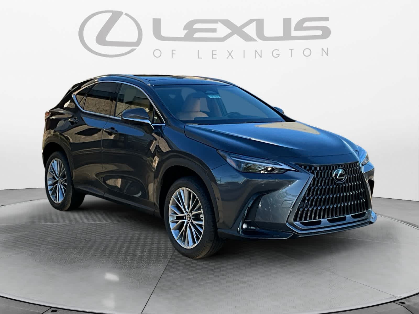 2026 Lexus NX 350h Luxury