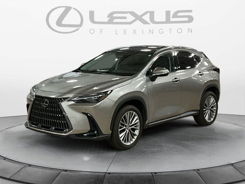 2025 Lexus NX 350h Luxury