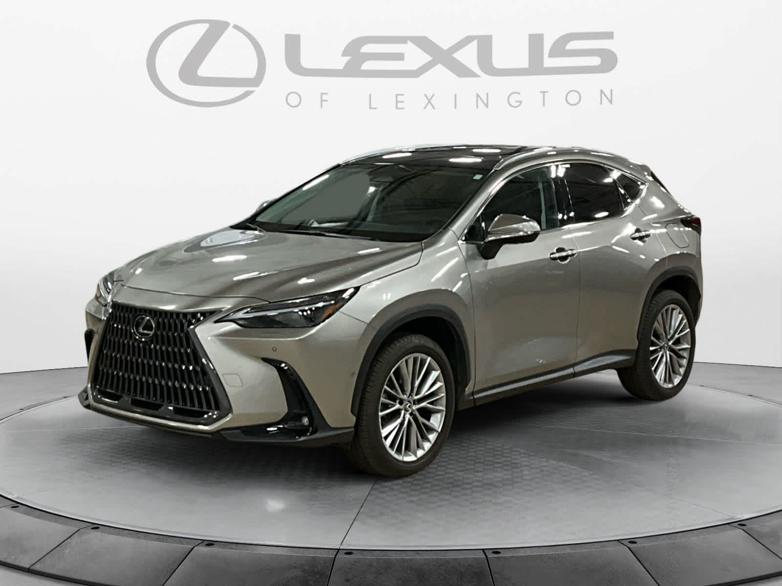 2025 Lexus NX 350h Luxury