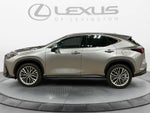2025 Lexus NX 350h Luxury