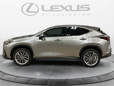 2025 Lexus NX 350h Luxury