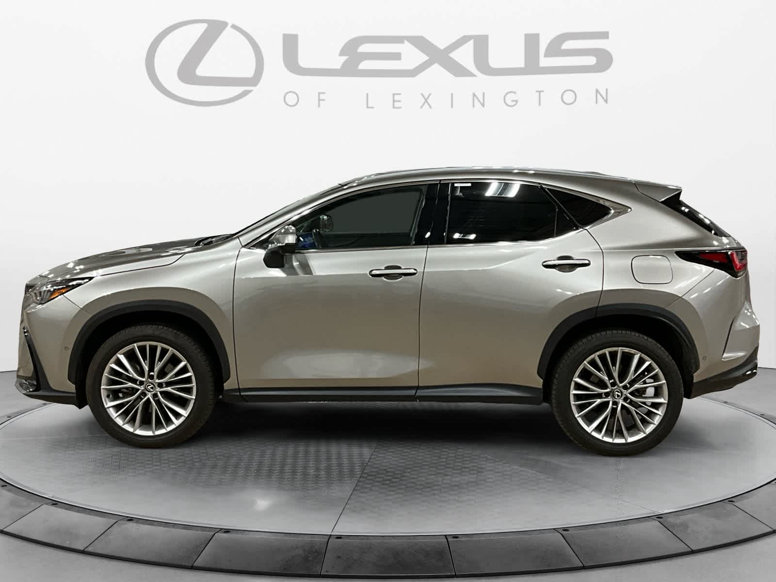 2025 Lexus NX 350h Luxury