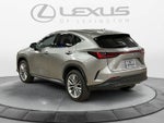 2025 Lexus NX 350h Luxury