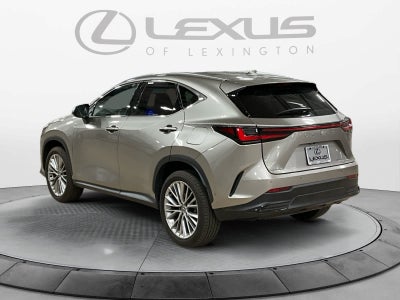 2025 Lexus NX 350h Luxury