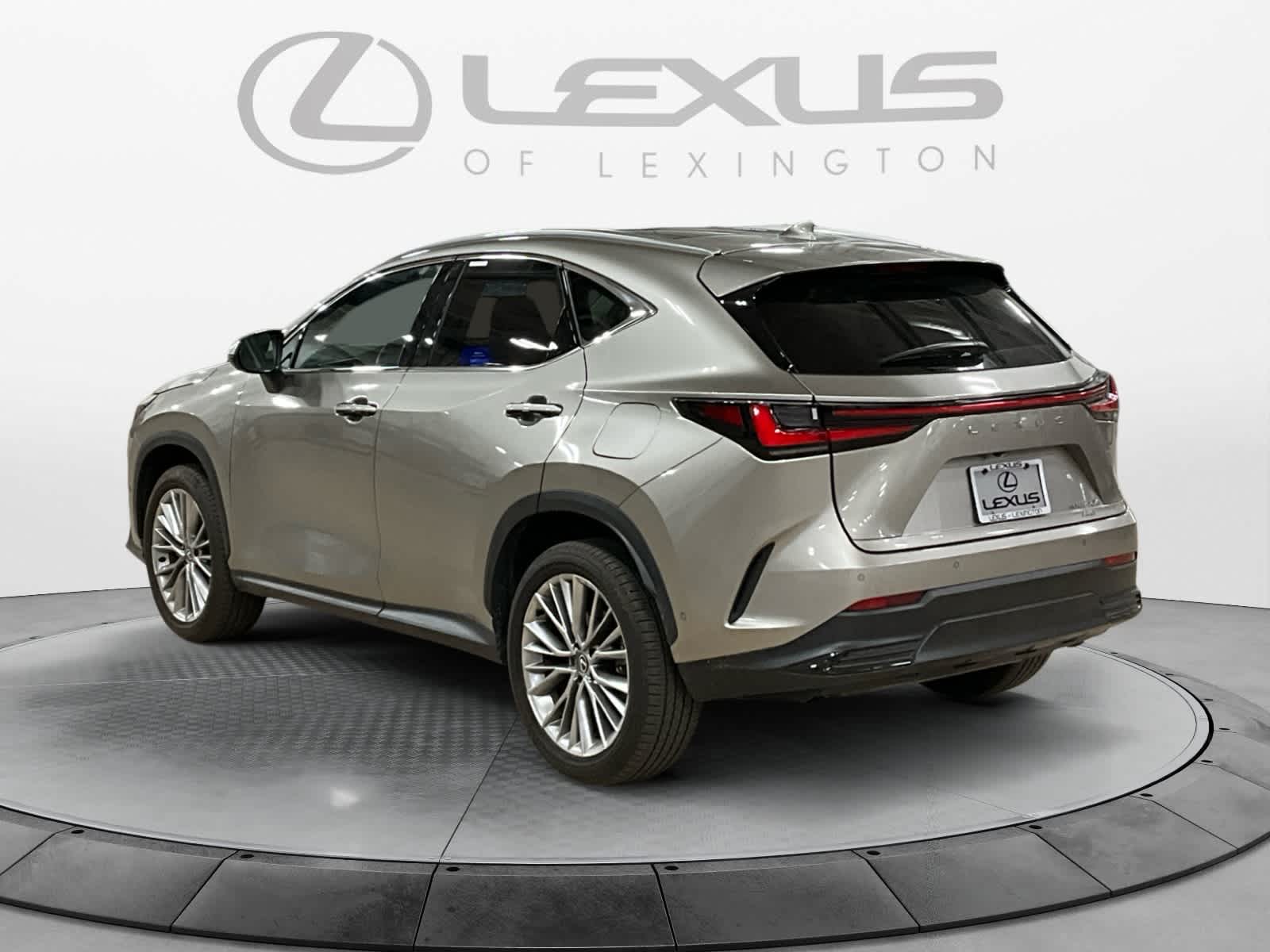 2025 Lexus NX 350h Luxury