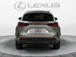 2025 Lexus NX 350h Luxury
