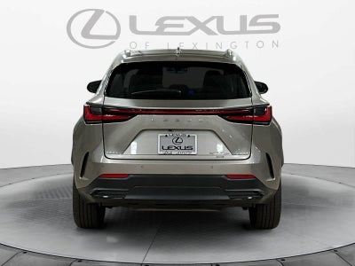 2025 Lexus NX 350h Luxury