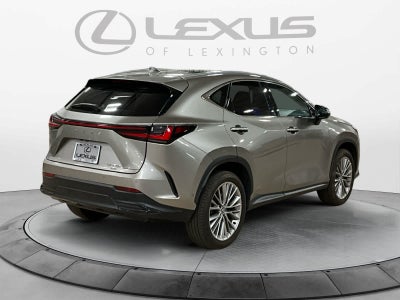 2025 Lexus NX 350h Luxury