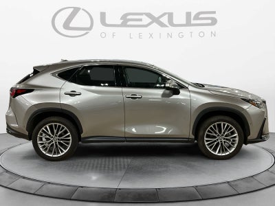 2025 Lexus NX 350h Luxury