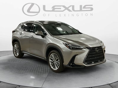 2025 Lexus NX 350h Luxury