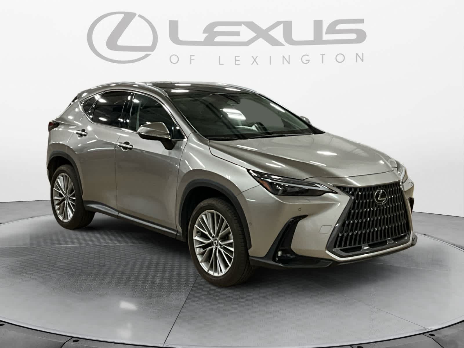 2025 Lexus NX 350h Luxury