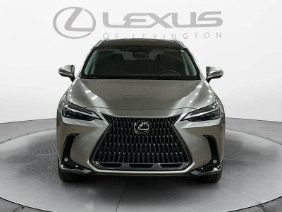 2025 Lexus NX 350h Luxury