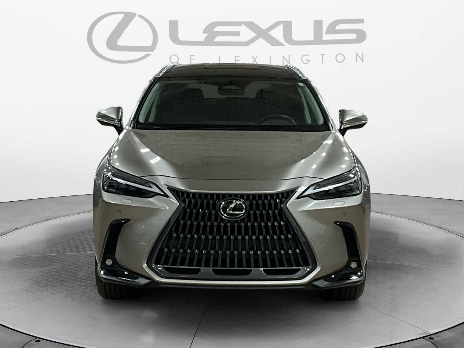 2025 Lexus NX 350h Luxury
