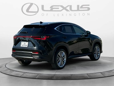 2026 Lexus NX 350h Luxury