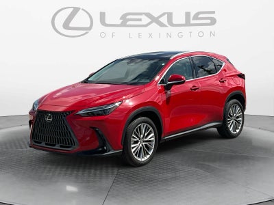 2025 Lexus NX 350h Luxury
