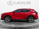 2025 Lexus NX 350h Luxury