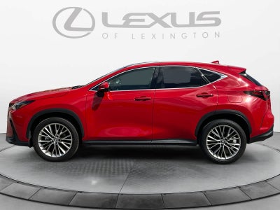 2025 Lexus NX 350h Luxury