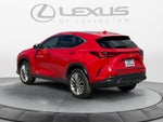 2025 Lexus NX 350h Luxury