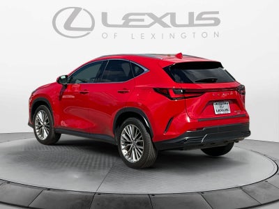 2025 Lexus NX 350h Luxury