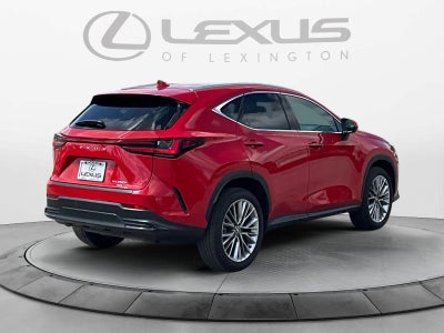 2025 Lexus NX 350h Luxury