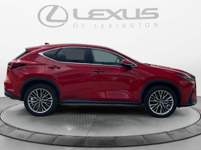 2025 Lexus NX 350h Luxury