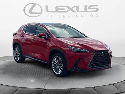 2025 Lexus NX 350h Luxury