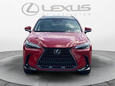 2025 Lexus NX 350h Luxury