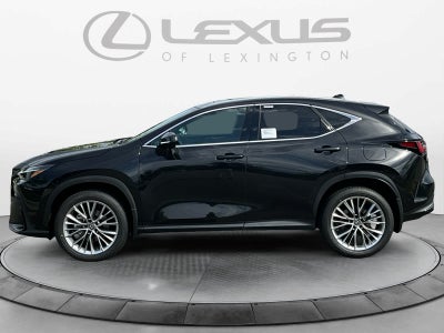 2026 Lexus NX 350h Luxury