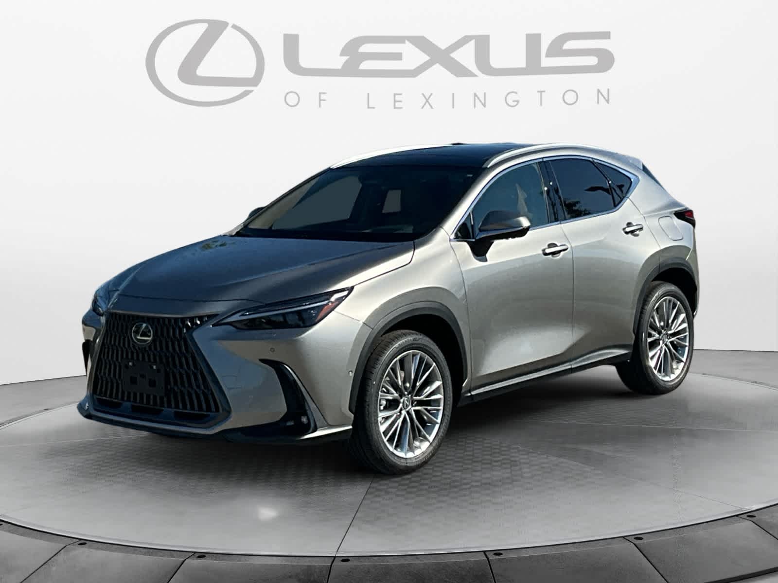 2026 Lexus NX 350h Luxury
