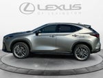 2026 Lexus NX 350h Luxury