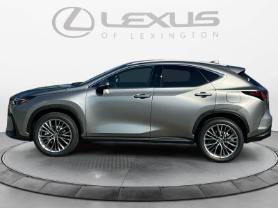 2026 Lexus NX 350h Luxury