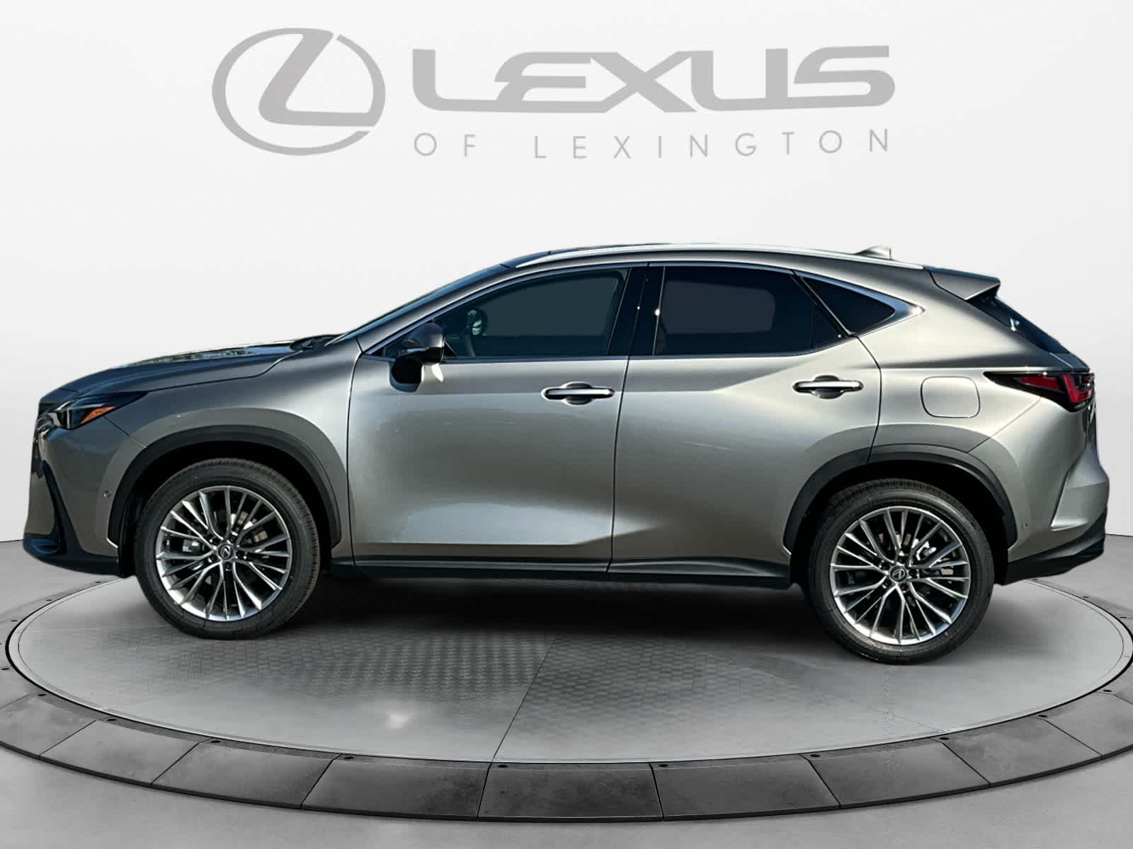 2026 Lexus NX 350h Luxury