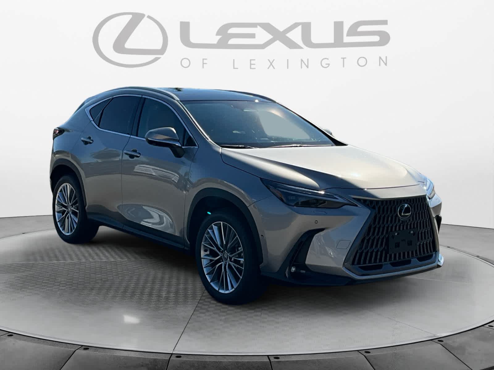 2026 Lexus NX 350h Luxury