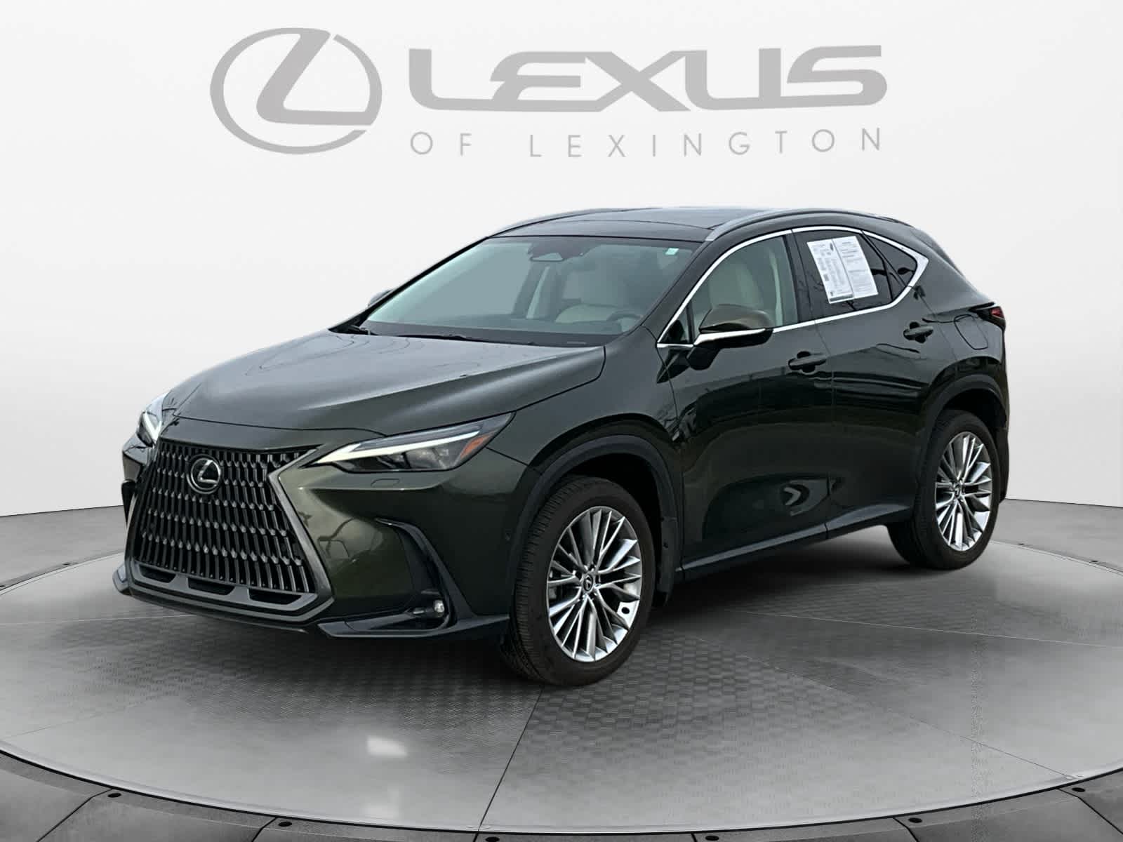 2025 Lexus NX Luxury