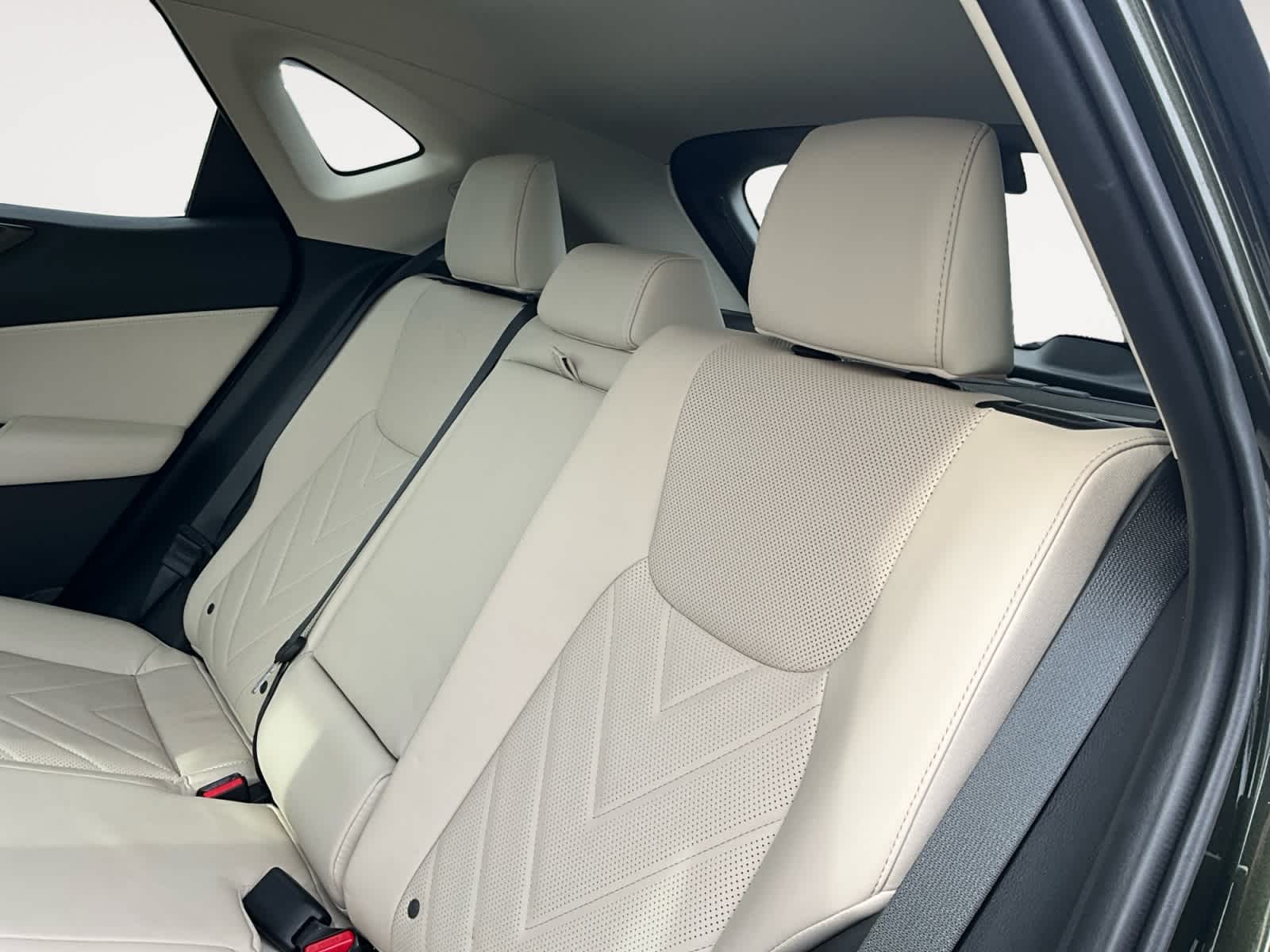 2025 Lexus NX Luxury