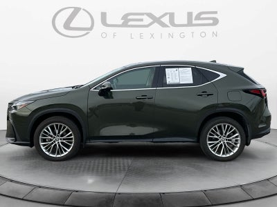 2025 Lexus NX Luxury