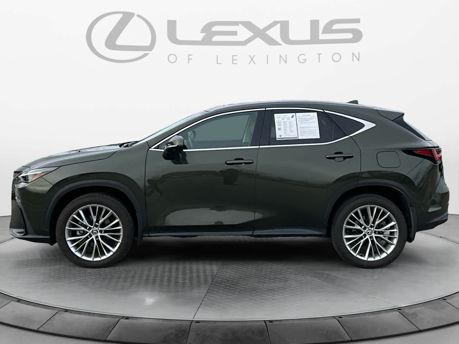 2025 Lexus NX Luxury