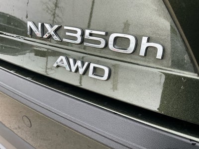 2025 Lexus NX Luxury