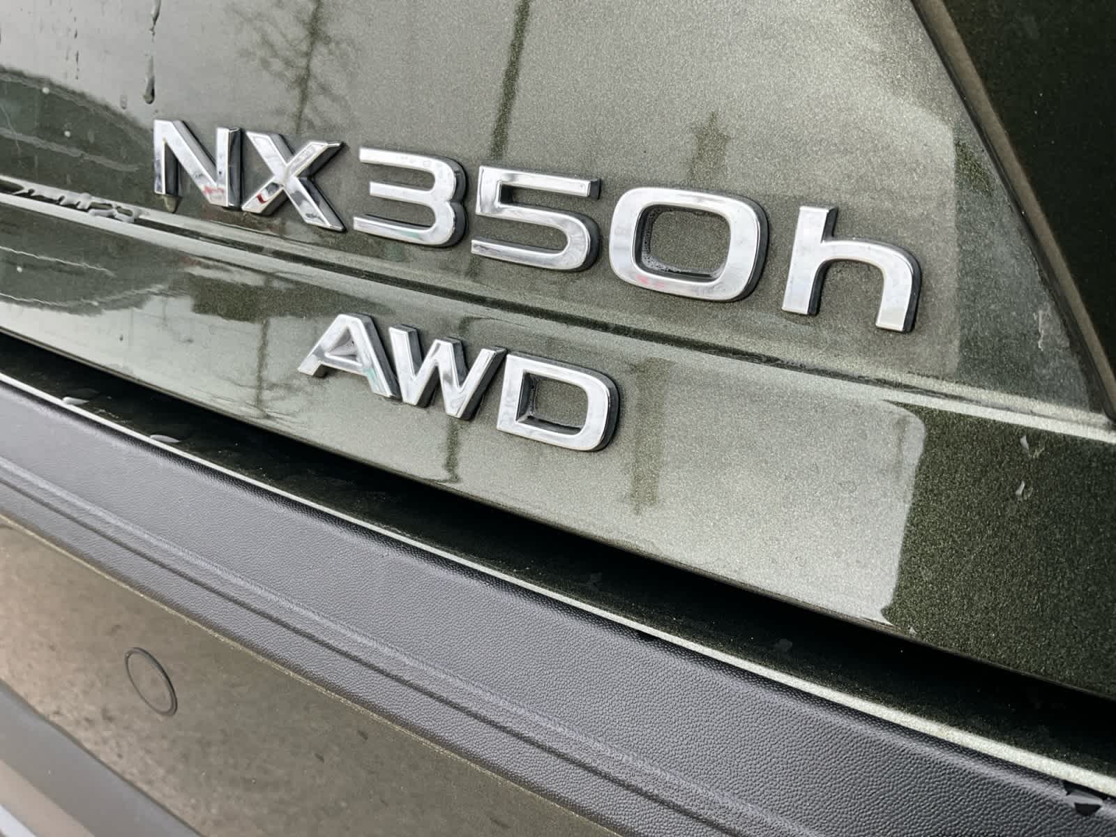 2025 Lexus NX Luxury