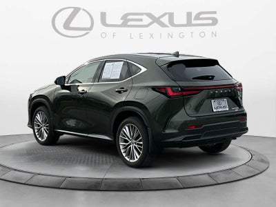 2025 Lexus NX Luxury