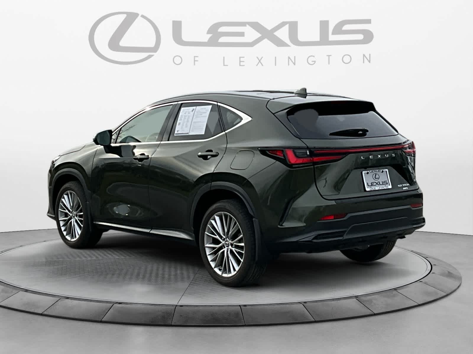 2025 Lexus NX Luxury