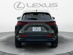 2025 Lexus NX Luxury