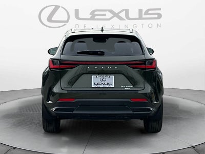 2025 Lexus NX Luxury