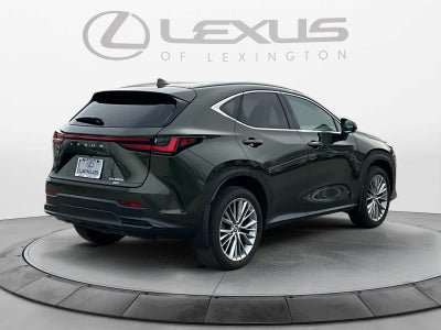 2025 Lexus NX Luxury